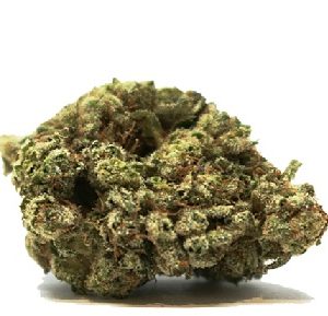 Buy Weed Strains Online Australia