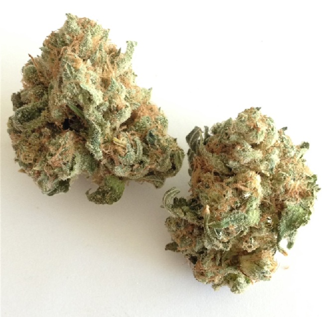 White Widow Hybrid Strain AU