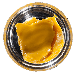 Budder Online Australia