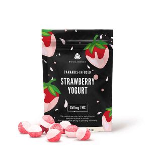 BuudaBomb 250mg THC Vegan Gummies NT