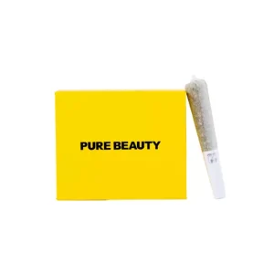 Yellow Box Pre-Roll Pack SA