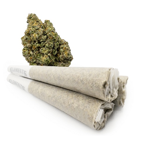 24K Gold In fused Pre-Rolled Joints SA