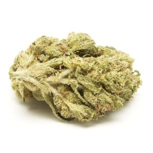 Berry White Weed Strain NSW