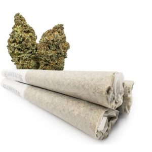 Blue Cookies Pre-Rolled Joints VIC