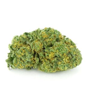 Cherry Pie Marijuana QLD
