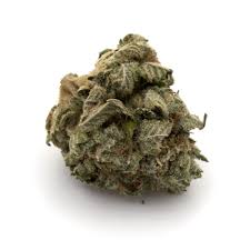 Grease Monkey TAS Weed Strain