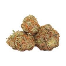 Gushers NSW Marijuana Strain