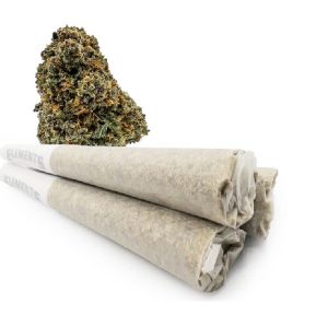 Orange Sherbet Pre-Rolled Joints WA