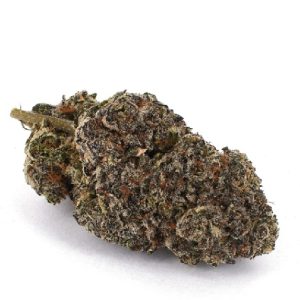 Rainbow Belts SA Weed Strain