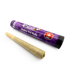 Sesh – Shatter Pre-Rolls TAS – Indica