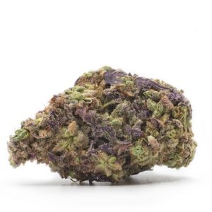 Gushers NSW Marijuana Strain