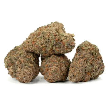 Mint Jelly WA Cannabis Strain