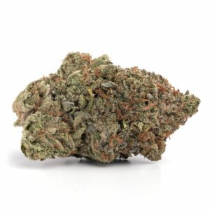 Afghan Kush WA Weed Strain