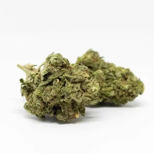 California WA Octane Weed Strain