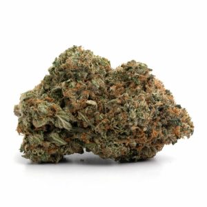 Comatose QLD Cannabis Strain