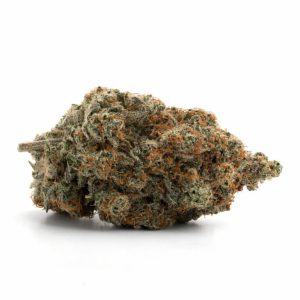 El Chapo QLD Weed Strain