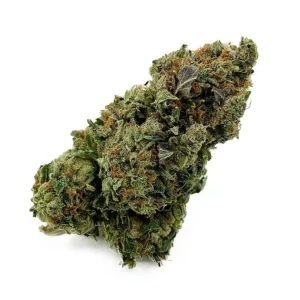 Garanimals NSW Cannabis Strain