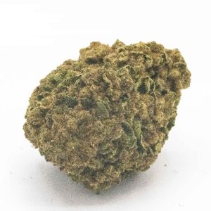 Garlic Budder SA Marijuana Strain