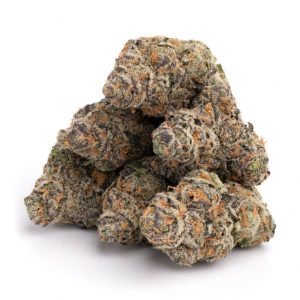 Goudaberry NSW Marijuana Strain