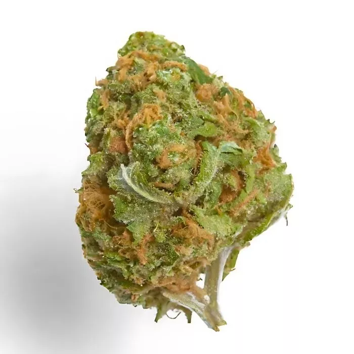Grease Monkey SA Weed strain