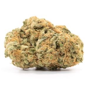 Green Goblin NT Marijuana Strain