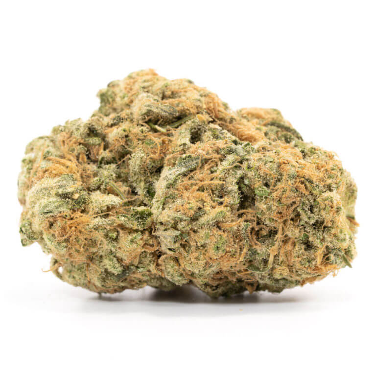 Green Goblin NT Marijuana Strain