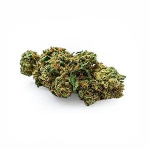 Hella Jelly NT Marijuana strain