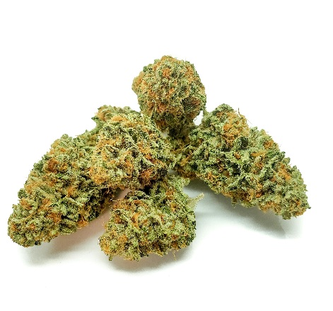 Humboldt Dream SA Weed Strain