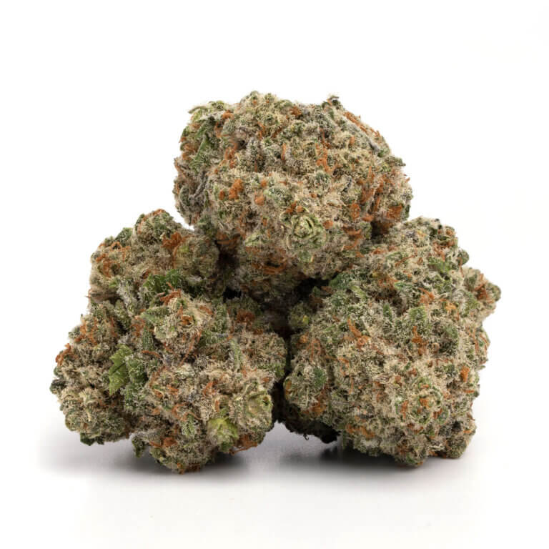 Jack Herer VIC Cannabis Strain