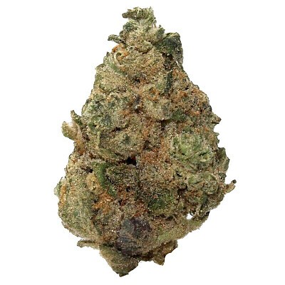 LA Kush Cake SA Cannabis strain