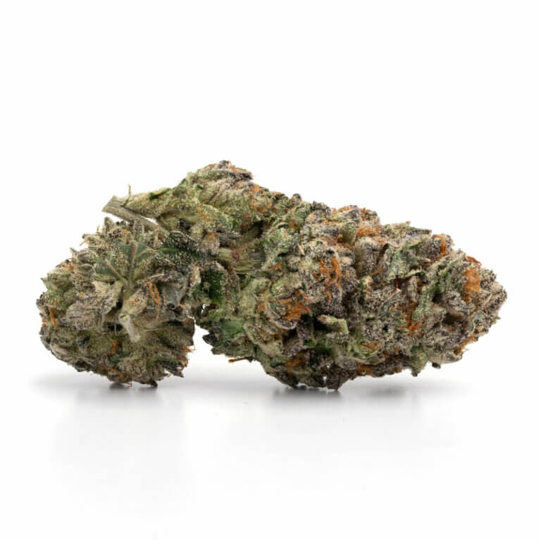 Master Kush NT Cannabis Strain