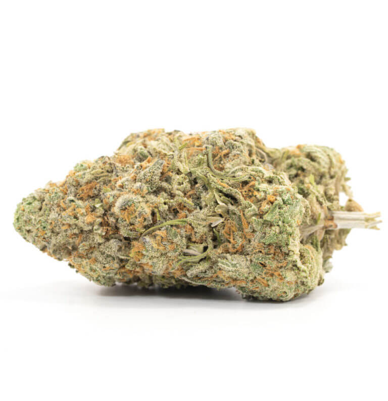 Pineapple Punch SA Cannabis Strain