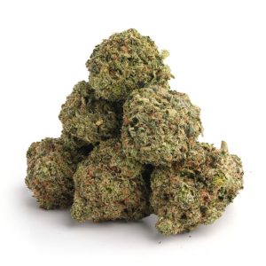 Pink Gas QLD Cannabis Strain