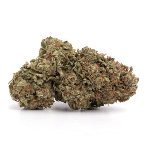 Platinum Kush NT Cannabis Strain