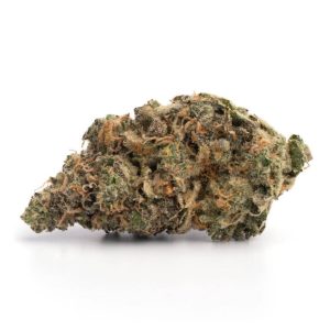 Purple Haze NSW Marijuana Strain