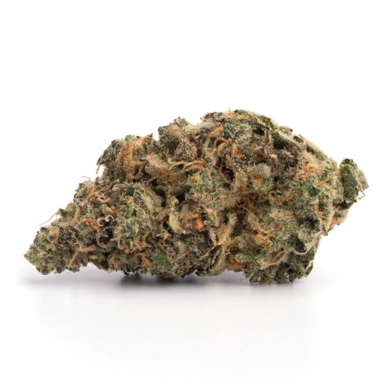 Purple Haze NSW Marijuana Strain