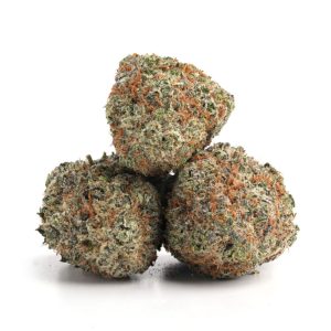 Purple OG Kush WA Weed Strain