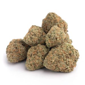 Red Congolese SA Marijuana Strain