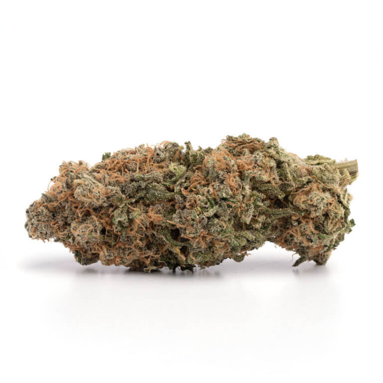 Sour Amnesia Haze TAS Weed Strain