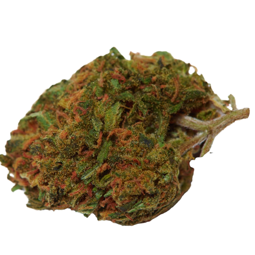 Stoopid Fruits ACT Marijuana Strain