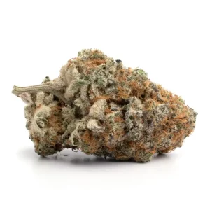 Strawberry Cough SA Weed Strain