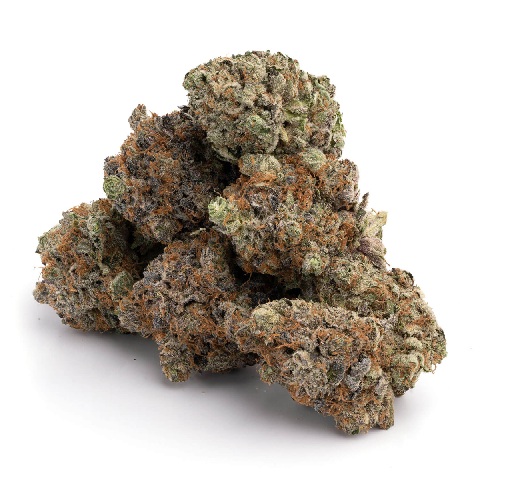 Super Glue SA Cannabis strain