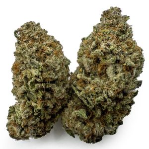 Vanilla Frosting NT Marijuana Strain