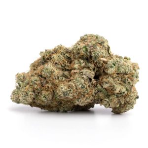 Violator Kush SA Weed Strain