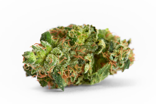 Wedding Cake NSW Weed strain