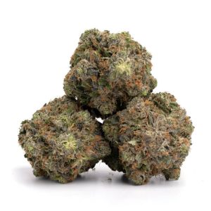 White Haze TAS Marijuana Strain